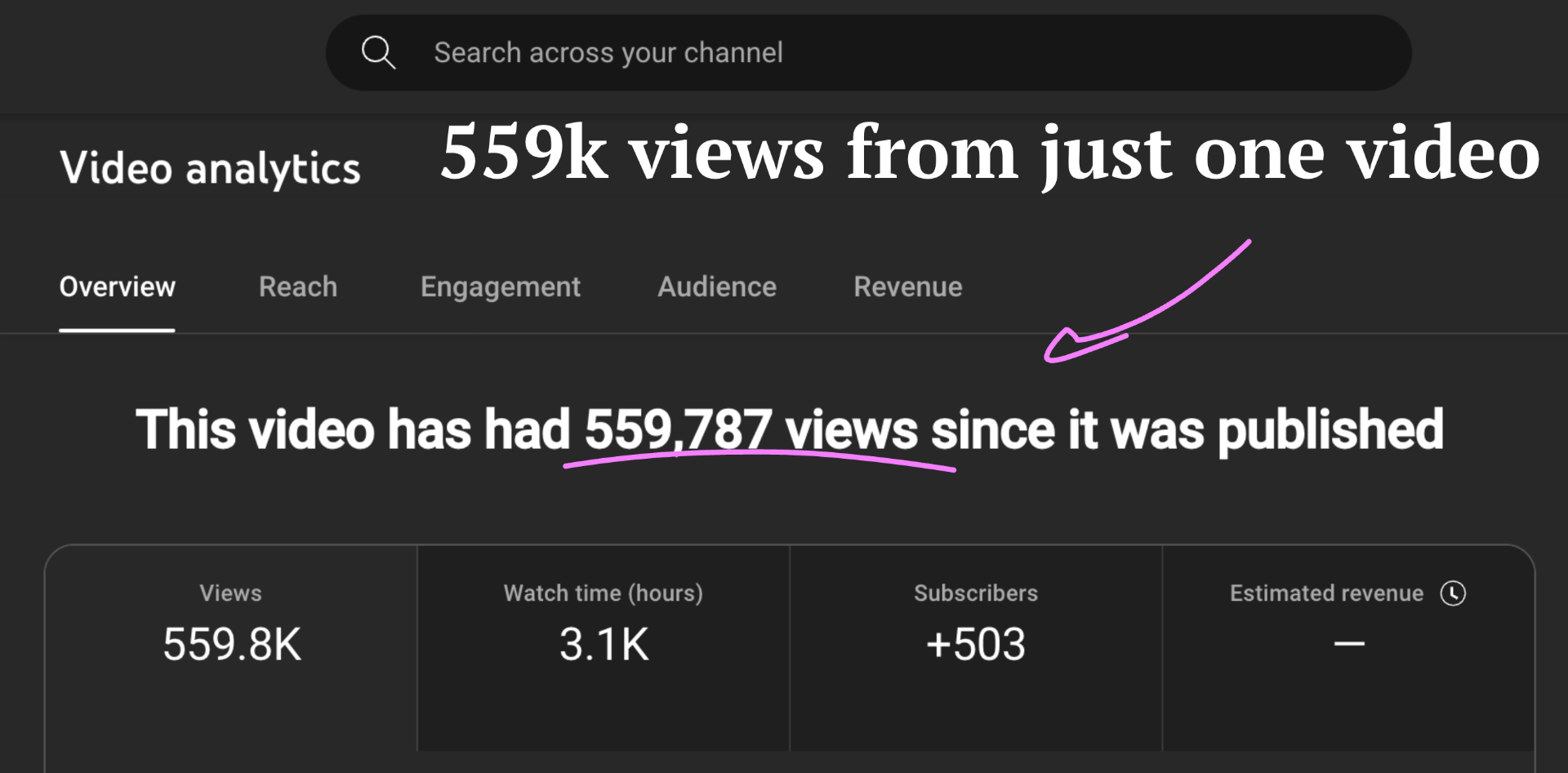 559K views from one video